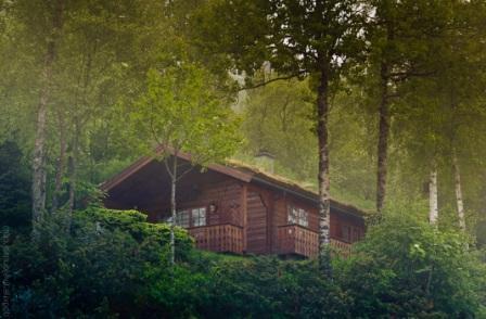 Дом в лесу с маскировочным озеленением на крыше