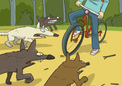 Как избежать нападения собак велосипедисту