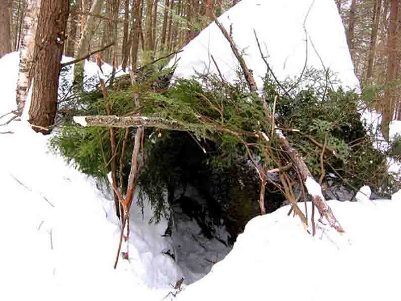 Зимнее укрытие в лесу